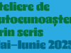 „Dar eu?“ Atelierele de autocunoastere prin scris incurajeaza creativitatea elevilor din trupa de teatru Brainstorming